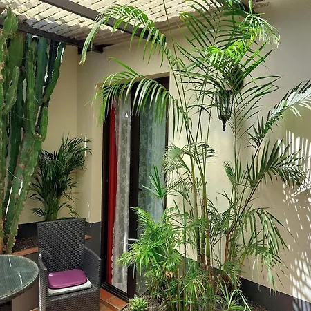 Ferienhaus Canary Adults Only With Pool Guincho (Tenerife)