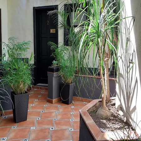 Ferienhaus Canary Adults Only With Pool