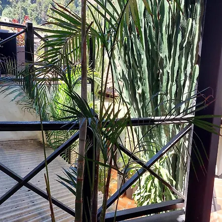 Ferienhaus Canary Adults Only With Pool Guincho (Tenerife)